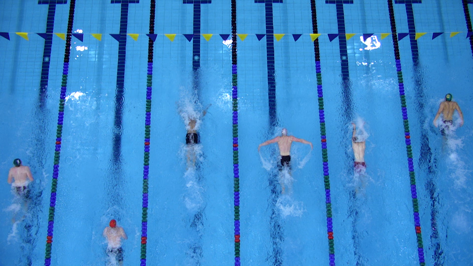 Roll.Focus. Productions Victoria, BC USports Swimming Nationals